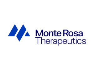 Monte Rosa teaser